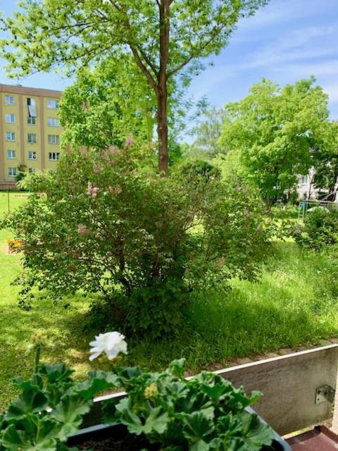 Apartman Snyt Primka Olomouc Exterior foto