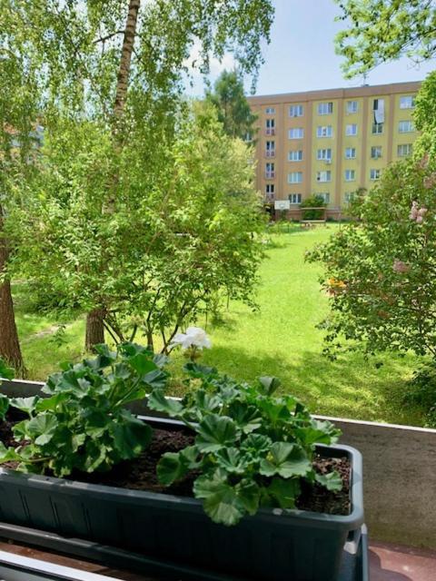 Apartman Snyt Primka Olomouc Exterior foto